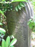 image of grave number 366275